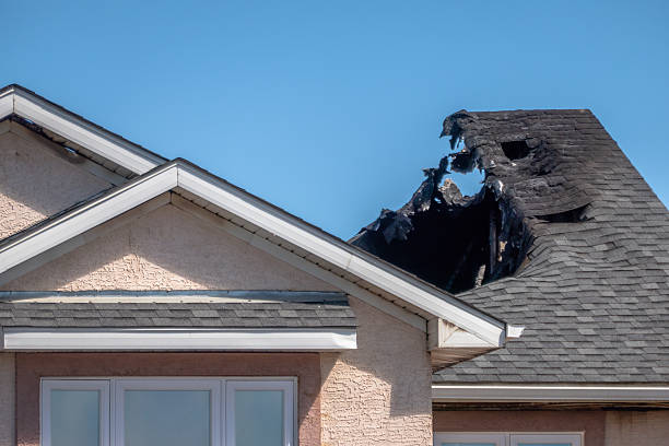 Top rated local Odor Removal specialists in Leesburg, VA