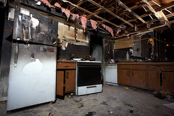Licensed Odor Removal service in Leesburg, VA - Fire Damage Laser Cleaning